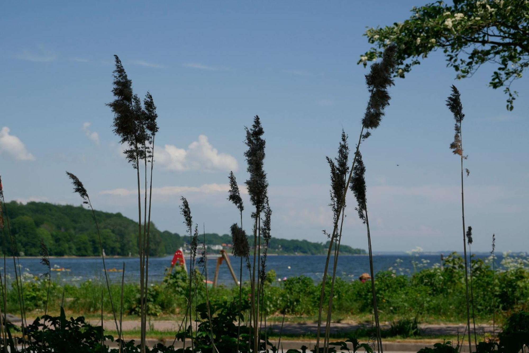 Ostsee, Wunderschoene Wohnung Mit Meerblick Harrislee Extérieur photo